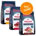 Rocco Mealtime - Mixed Trial Pack