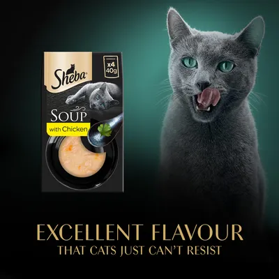 Sheba Soup with Chicken macskaeledel csomagolás, x4 40g. Excellent flavour that cats just can’t resist felirat angolul.