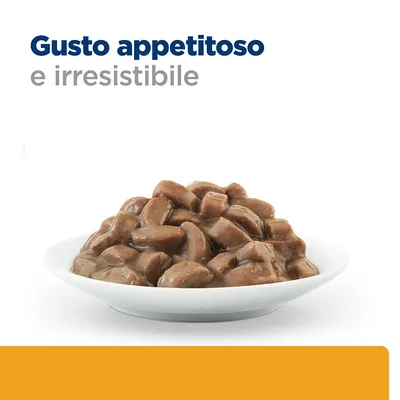 Ciotola con bocconcini di cibo umido marrone. Testo visibile: Gusto appetitoso e irresistibile.