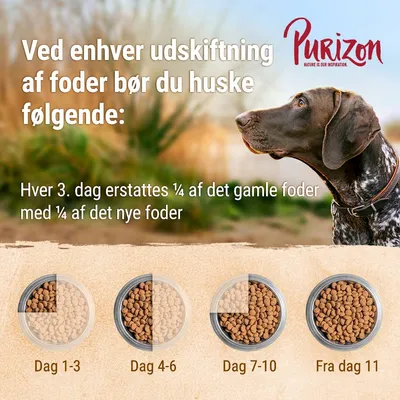 Purizon. Ved udskiftning af foder: Hver 3. dag erstattes ¼ af det gamle foder med ¼ af det nye. Skema: Dag 1–3, Dag 4–6, Dag 7–10, Fra dag 11 med foderskåle.