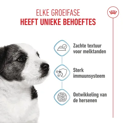 Royal Canin Mini Puppy Hondenvoer in Saus