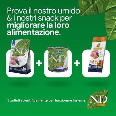 N&D Prime crocchette, alimento umido e dental treat. Sviluppato per migliorare la nutrizione. Formulato scientificamente per un uso combinato.