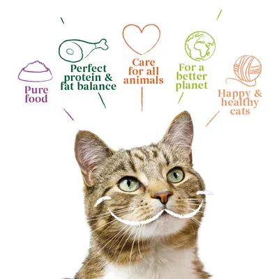 Image with text: Pure food, Perfect protein and fat balance, Care for all animals, For a better planet, Happy and healthy cats.