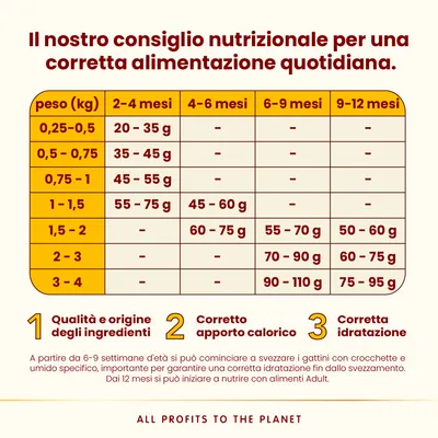 Almo Nature HFC Kitten Pollo