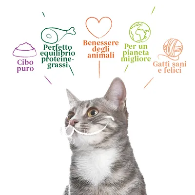 Cibo puro, Perfetto equilibrio proteine-grassi, Benessere degli animali, Per un pianeta migliore, Gatti sani e felici (testo visibile sopra un gatto grigio)