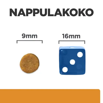 Nappulakoko: koiranruokanappula 9 mm, vertailuna sininen noppa 16 mm. Teksti: NAPPULAKOKO, 9 mm, 16 mm.