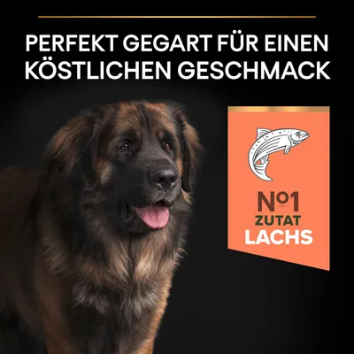 Perfekt gegart für köstlichen Geschmack. Nr. 1 Zutat: Lachs.