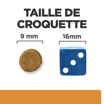 Taille de croquette : diamètre 9 mm à côté d’un dé bleu de 16 mm pour comparaison visuelle