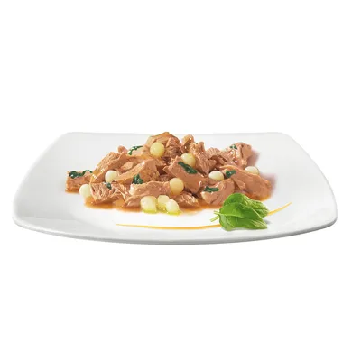 Close-up of served wet food with meat pieces, white pellets and green leaf on a white plate.