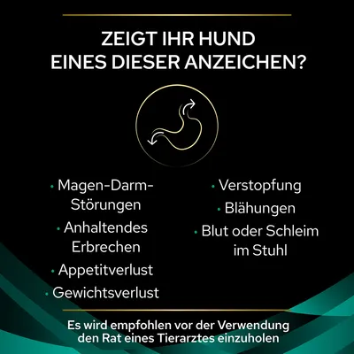 Zeigt Ihr Hund eines dieser Anzeichen? Magen-Darm-Störungen, anhaltendes Erbrechen, Appetitverlust, Gewichtsverlust, Verstopfung, Blähungen, Blut oder Schleim im Stuhl. Tierarzt konsultieren empfohlen.