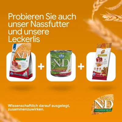 Probieren Sie auch unser Nassfutter und unsere Leckerlis. Wissenschaftlich darauf ausgelegt, zusammenzuwirken. Abgebildet: N&D Trockenfutter, Nassfutter, Dental Treat.