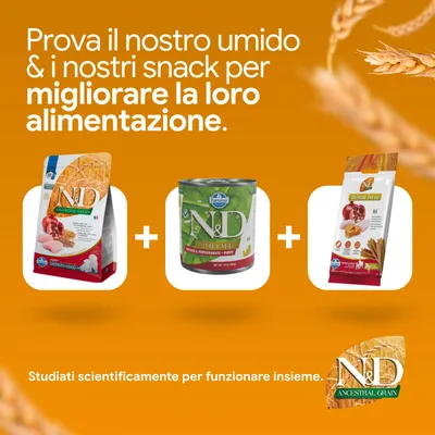 N&D Ancestral Grain crocchette, N&D Prime alimento umido e N&D dental treats. Sviluppati per migliorare l'alimentazione. Scientificamente bilanciati.