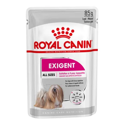 Sachet Royal Canin Exigent 85 g, pâtée pour chiens, all sizes, convient aux appétits difficiles. Texte visible en anglais et français. Photo d’un chien à poil long sur l’emballage.