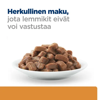 Lautasella ruskeita kastikkeessa olevia lemmikkiruokapaloja. Teksti: Herkullinen maku, jota lemmikit eivät voi vastustaa.