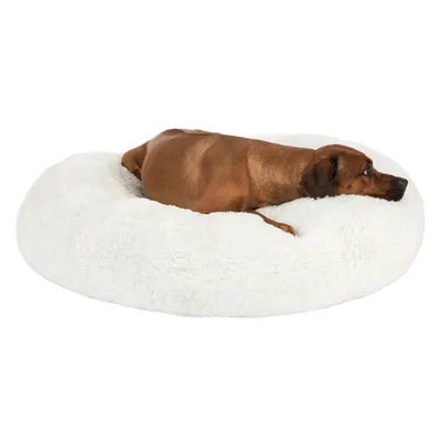 Hond ligt op een ronde, witte hondenmand van zacht pluche materiaal. Mand is groot genoeg voor middelgrote tot grote honden.