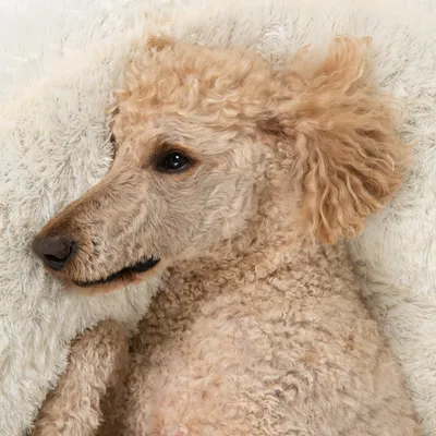 ""