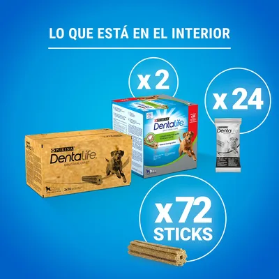 Contenido del pack: 2 cajas Purina Dentalife Daily Oral Care, 24 bolsas individuales y 72 sticks visibles. Texto: Lo que está en el interior.