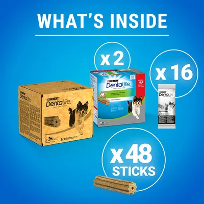 Purina Dentalife Daily Oral Care til hunde: 2 pakker, 16 enkeltpakker, i alt 48 sticks. Synlige produktæsker og tekst 'WHAT'S INSIDE', 'x2', 'x16', 'x48 STICKS'. Purina Dentalife Daily Oral Care til hunde: 2 pakker, 16 enkeltpakker, i alt 48 sticks. Synlige produktæsker og tekst 'WHAT'S INSIDE', 'x2', 'x16', 'x48 STICKS'.