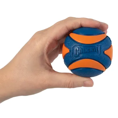 Hand holding blue and orange ball with Chuckit! logo, suitable for throwing games.