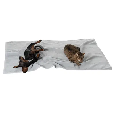 Grey blanket with a dog and a cat lying on it, suitable for pets.