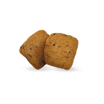 Zwei quadratische braune Leckerlis mit sichtbaren Kräuterstücken, geeignet als Snack oder Belohnung.