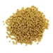 Super Benek Corn Cat Golden