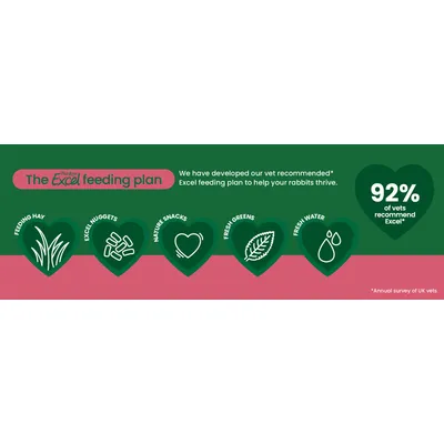 Burgess Excel feeding plan: Feeding Hay, Excel Nuggets, Nature Snacks, Fresh Greens, Fresh Water. 92% of vets recommend Excel. Source: annual survey of UK vets. Burgess Excel feeding plan: Feeding Hay, Excel Nuggets, Nature Snacks, Fresh Greens, Fresh Water. 92% of vets recommend Excel. Source: annual survey of UK vets.