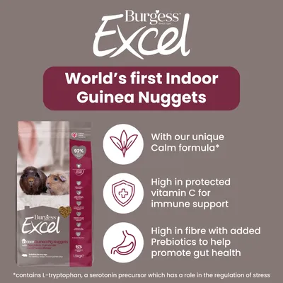 Burgess Excel Indoor Guinea Pig Nuggets - 1.5kg