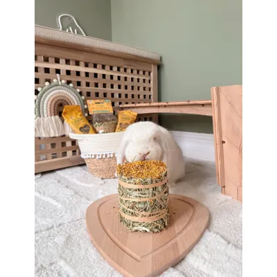 Burgess Excel Forage & Feast Mini Bale with Marigold - 100g Burgess Excel Forage & Feast Mini Bale with Marigold - 100g