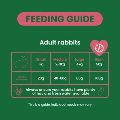 Feeding recommendation for adult rabbits: Small 1kg, 20g, Medium 2-3kg, 40-60g, Large 4kg, 80g, Giant 5kg, 100g. Always provide plenty of hay and fresh water. Feeding recommendation for adult rabbits: Small 1kg, 20g, Medium 2-3kg, 40-60g, Large 4kg, 80g, Giant 5kg, 100g. Always provide plenty of hay and fresh water.