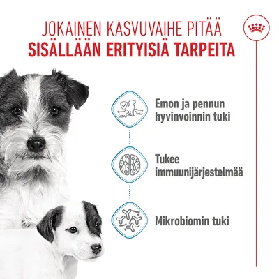 Grafiikka, jossa on kolme kohtaa: emon ja pennun hyvinvoinnin tukeminen, immuunijärjestelmän tukeminen, mikrobiomin tukeminen. Grafiikka, jossa on kolme kohtaa: emon ja pennun hyvinvoinnin tukeminen, immuunijärjestelmän tukeminen, mikrobiomin tukeminen.