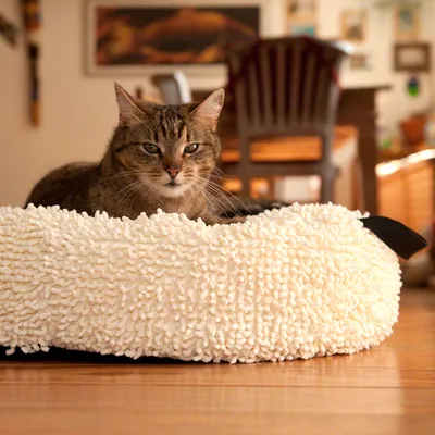 Chat allongé dans un panier rond en tissu blanc à texture bouclée, posé sur le sol d’un intérieur. Aucun texte ou marque visible sur le produit.