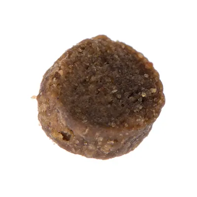 Primo piano di un pezzo di mangime per animali marrone e granuloso con texture visibile.