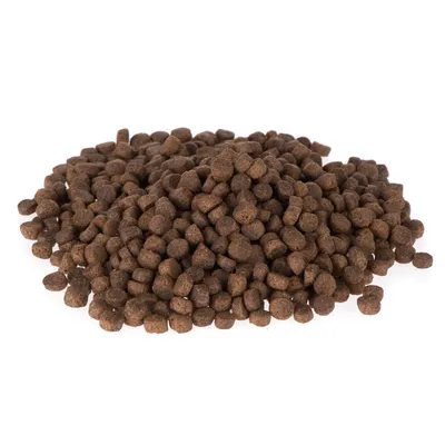 Crocchette di cibo secco marroni di forma rotonda, impilate sfuse su sfondo bianco.