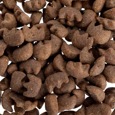 Nahaufnahme von braunen, katzenförmigen Trockenfutterstücken. Keine weiteren Informationen sichtbar.