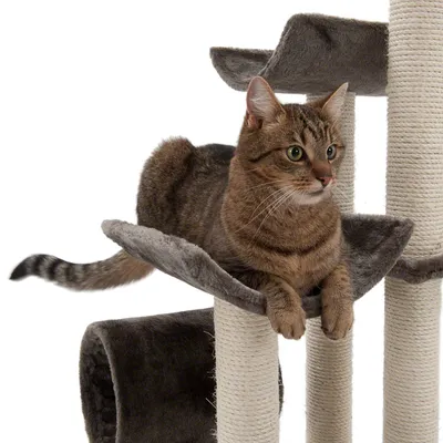 Arbre à chat avec plateformes en tissu gris et poteaux recouverts de corde, chat tigré allongé sur une plateforme supérieure. Matériaux visibles : tissu, corde.
