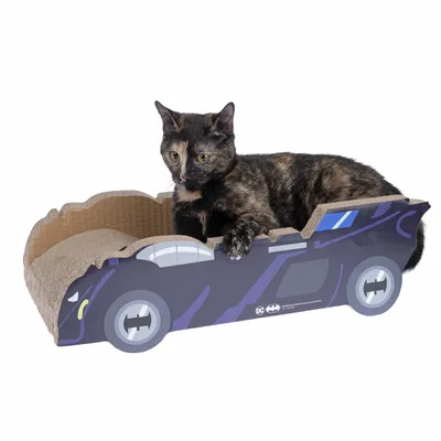 Kattenbed van karton in de vorm van een Batmobile, met een kat erop liggend. Ontwerp met zwarte en blauwe accenten.