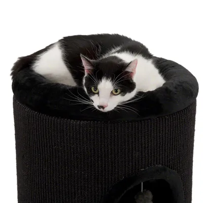 Chat noir et blanc allongé sur le dessus d’un arbre à chat cylindrique en tissu noir, ouverture ronde visible sur la partie inférieure. Chat noir et blanc allongé sur le dessus d’un arbre à chat cylindrique en tissu noir, ouverture ronde visible sur la partie inférieure.