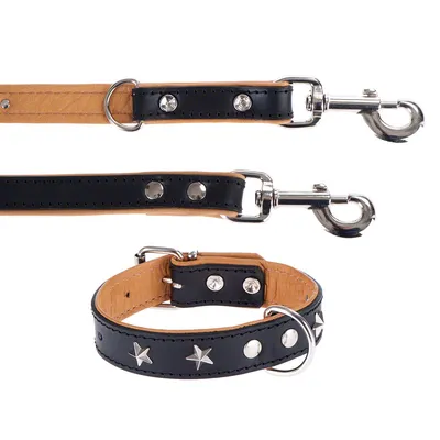 Svart läderhalsband med silverfärgade stjärnnitar och matchande koppel, båda med metallspännen och robust design.