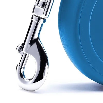 Close-up of a metal clip attached to a blue retractable lead, showing the fastening mechanism for secure attachment.
