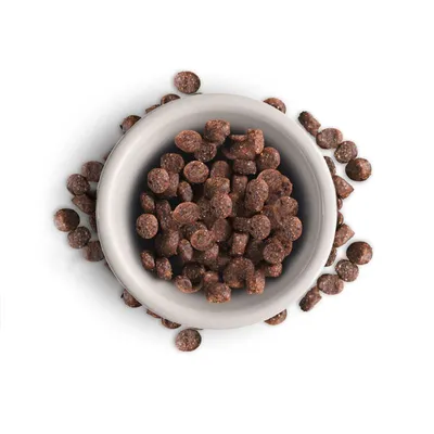 Leonardo Adult Laks kornfritt