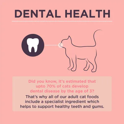 Dental health information: Up to 70% of cats develop dental disease by age 3. Adult cat foods include a specialist ingredient to support healthy teeth and gums.