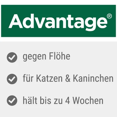 Advantage. Gegen Flöhe, für Katzen und Kaninchen, hält bis zu 4 Wochen.