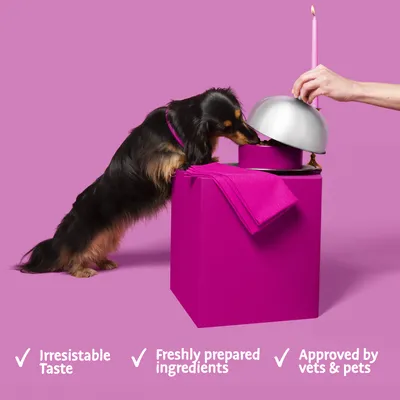 Dog eating from a bowl with text: Irresistible taste, freshly prepared ingredients, approved by vets and pets.