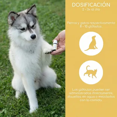 Wolfsbacher Natur Flores de Bach para mascotas Wolfsbacher Natur Flores de Bach para mascotas