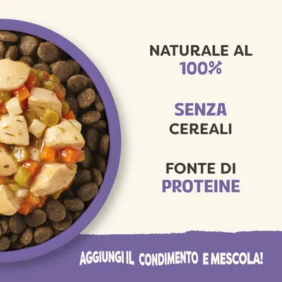 Applaws Taste Toppers Pacco misto 8 x 156 g per cani - Set risparmio: 16 x 156 g Stufato