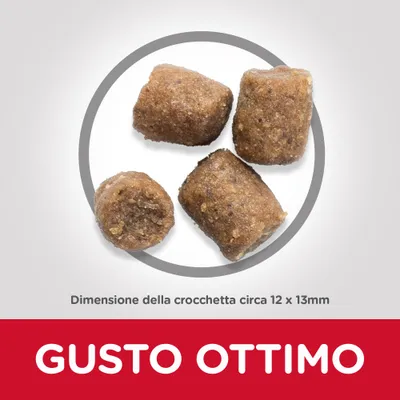 Quattro crocchette, dimensione circa 12 x 13 mm. Testo visibile: GUSTO OTTIMO.