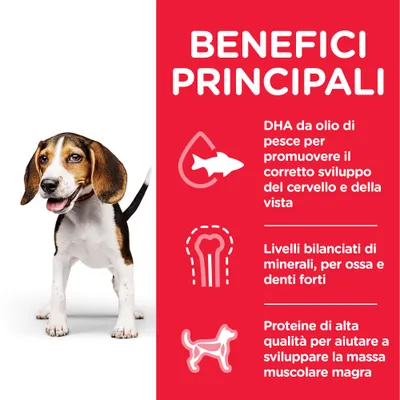 Benefici principali: DHA da olio di pesce per cervello e vista, minerali bilanciati per ossa e denti forti, proteine di alta qualità per la massa muscolare magra.