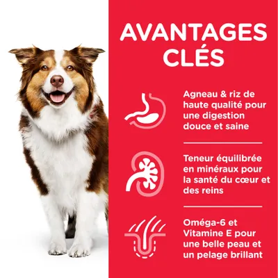 AVANTAGES CLÉS : Agneau & riz de haute qualité pour une digestion douce et saine, teneur équilibrée en minéraux pour le cœur et les reins, oméga-6 et vitamine E pour la peau et le pelage.