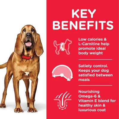 Key benefits: low calories and L-Carnitine for ideal body weight, satiety control to keep your dog satisfied between meals, Omega-6 and Vitamin E blend for healthy skin and coat.